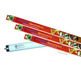 tube neon t8 terrasun spectraluxfl daylight   de euro-zoo l10707 (2599)