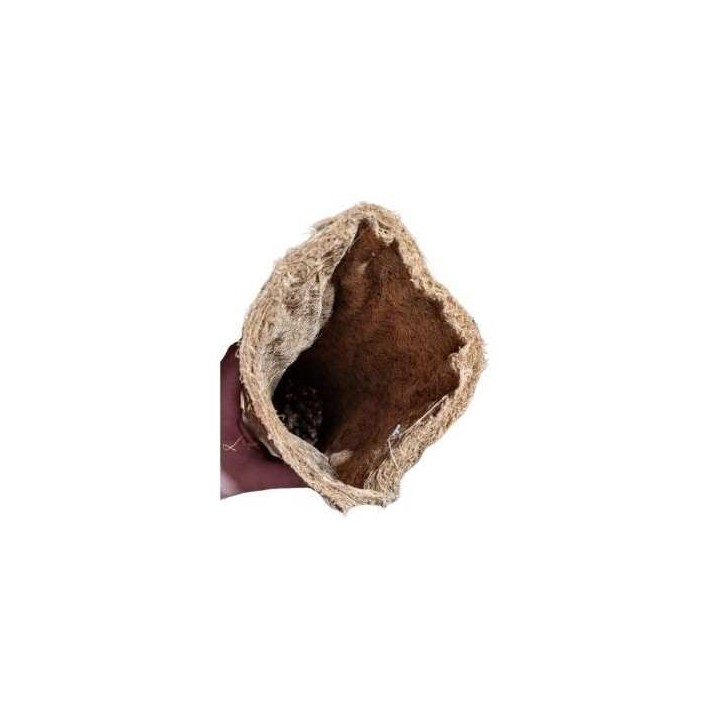 tube coco a planter, 5 cm de euro-zoo c10115 (3722),tube coco a planter, 5 cm de euro-zoo c10115 (3723),tube coco a planter, 5 c