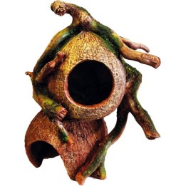 Noix de coco enracinée pour terrarium et aquarium (4208)