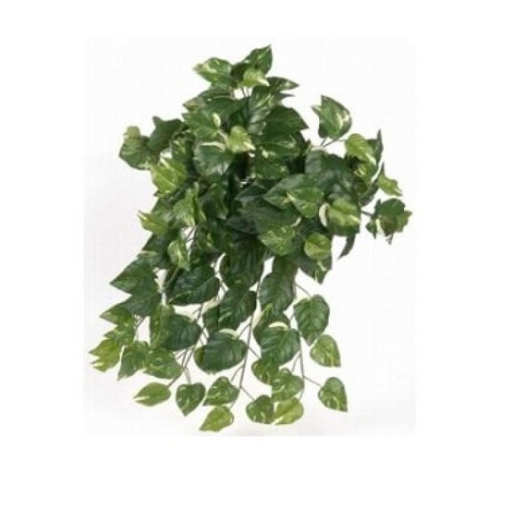 plante artificielle pour terrarium mini pothos de euro-zoo kp10148 (3832),plante artificielle pour terrarium mini pothos de euro