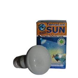 ampoule chauffante sun evolution flood de euro-zoo l10124 (2638),ampoule chauffante sun evolution flood de euro-zoo l10124 (3759