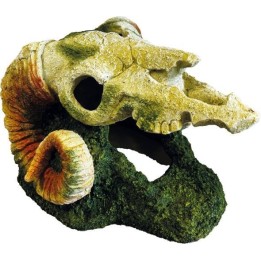 Crâne de bélier pour décorative pour terrarium (4198)