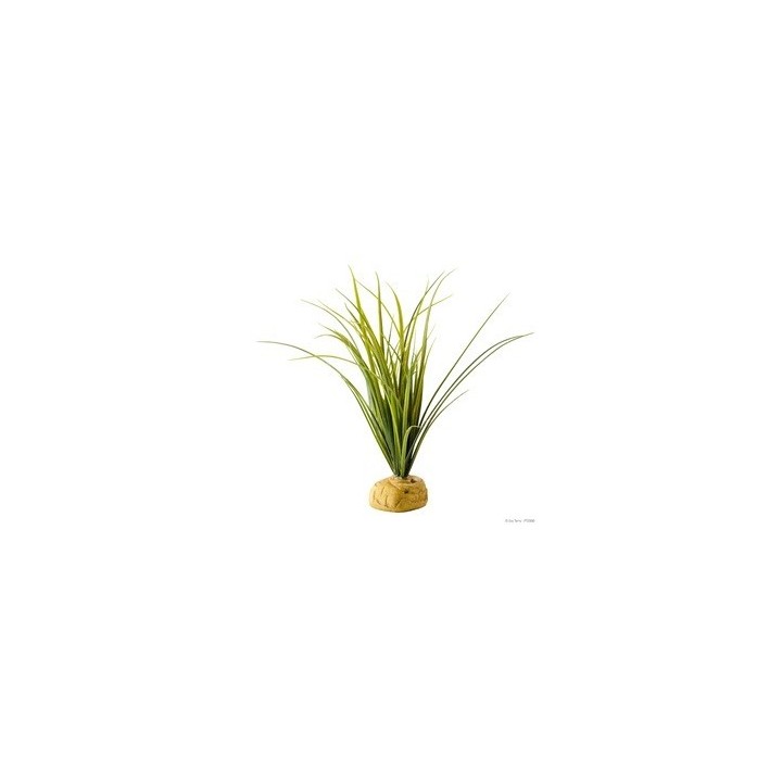 turtle grass de exo-terra pt2996 (2467)