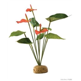 anthurium bush de exo-terra pt2992 (2466)