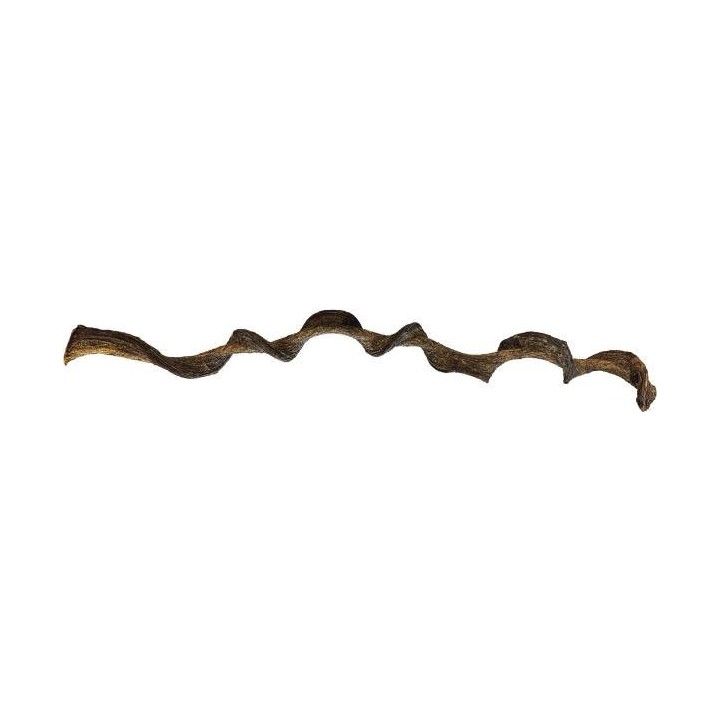 Liane naturelle torsadé de 95 cm  pour terrarium (4179)