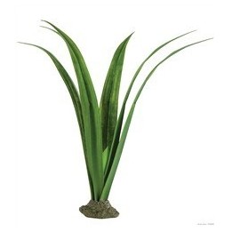 plant pandanus de exo-terra pt2974 (2464)