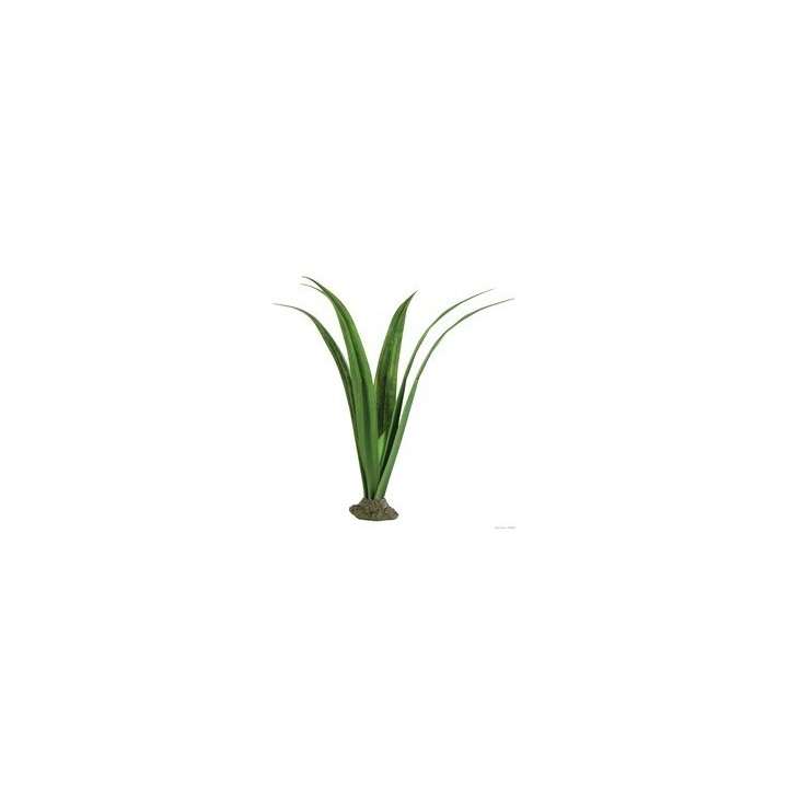plant pandanus de exo-terra pt2974 (2464)