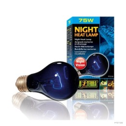 ampoules chauffantes night heat lamp (night vision) de exo-terra pt2058 (3544)
