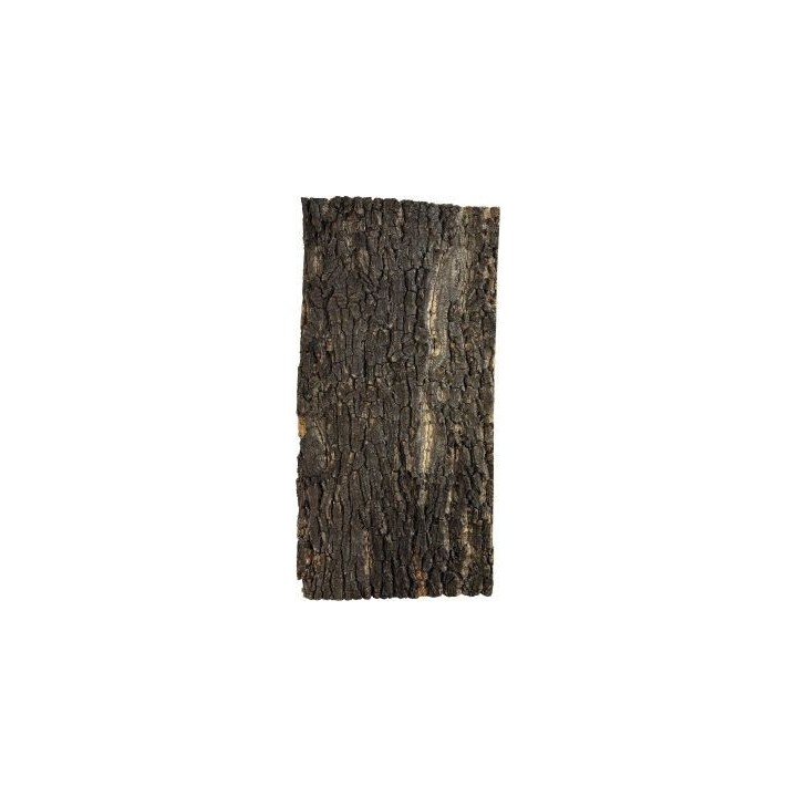 Plaque de liège pour terrarium (4177)