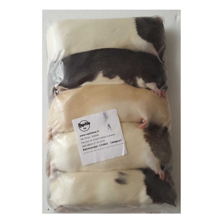 Rat +250g congelé pour reptiles - VentreaTerre