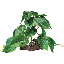 Fausse Oreille d'éléphant verte pour terrarium (4192)