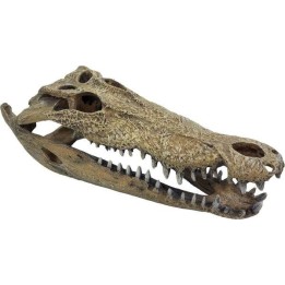 crane de crocodile xxl en resine de repto r5100365 (3970),crane de crocodile xxl pour reptile de repto r5100365 (3880),decoratio