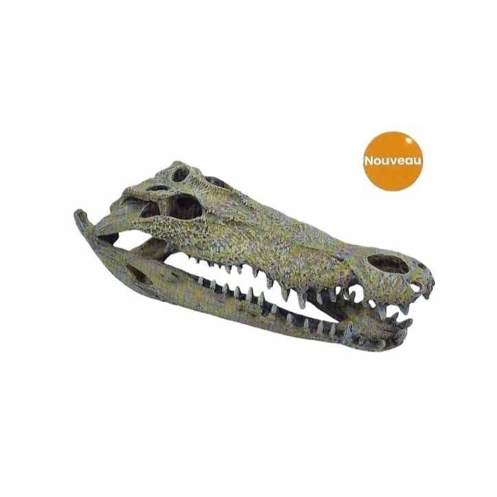 crane de crocodile xxl en resine de repto r5100365 (3970),crane de crocodile xxl pour reptile de repto r5100365 (3880),decoratio