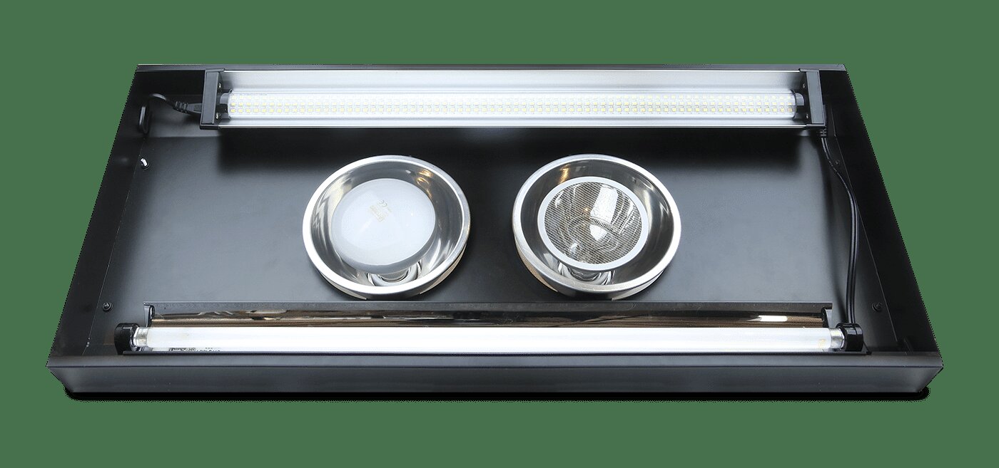 Thermal Zoo Pro Twin Arcadia — luminaire complet vue de dessus avec deux tubes UV-B T5