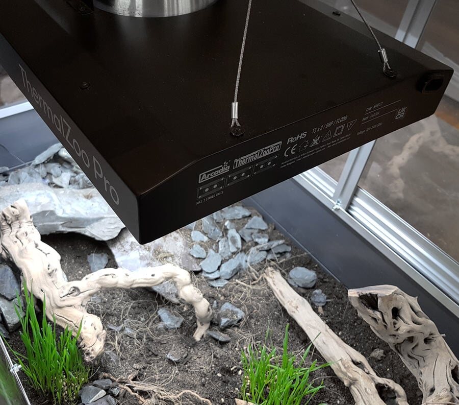 Thermal Zoo Pro Twin Arcadia suspendu au-dessus d'un terrarium — vue arrière câbles de suspension
