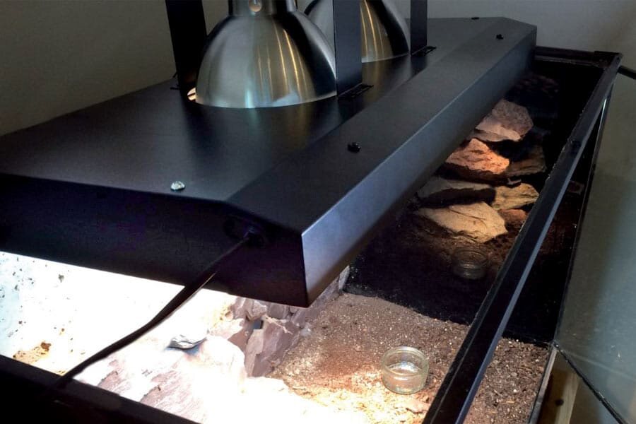 Thermal Zoo Pro Twin Arcadia installé au-dessus d'un terrarium désertique — deux lampes chauffantes en cloche