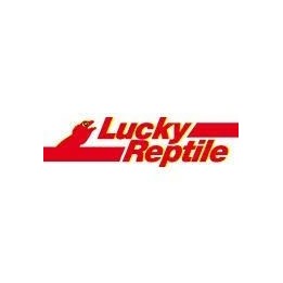 Logo Lucky reptile